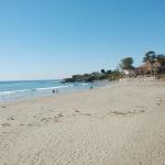 cambriaDR_0239 (November 02, 2019)